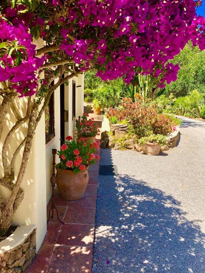 Agroturismo Can Talaias San Carlos Es Cana 外观 照片